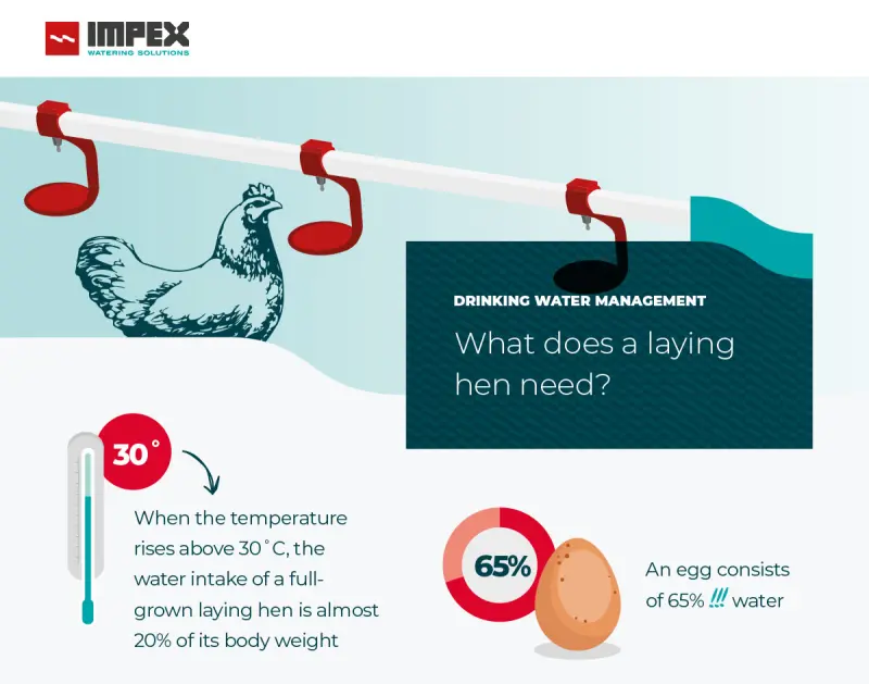 Impex layer infographic