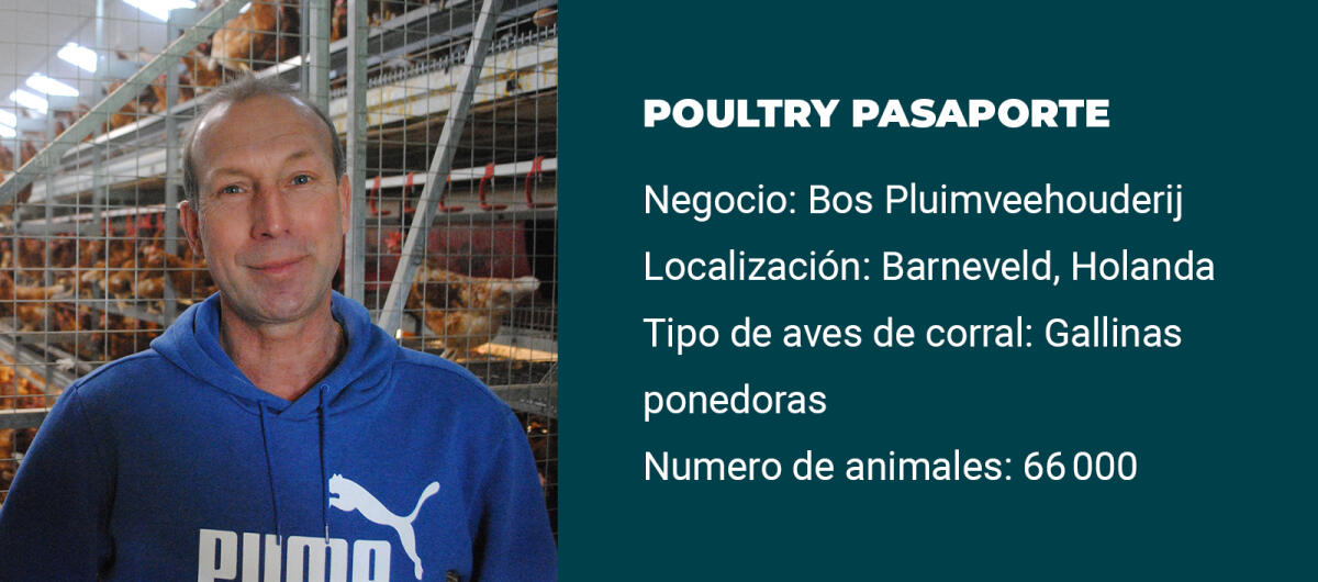 Poultry pasaporte theo bos